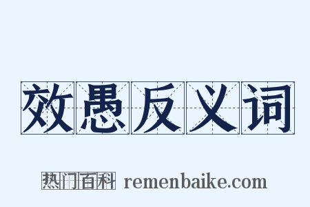 效愚反义词是什么意思的图片